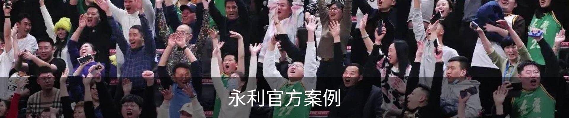 永利官方案例